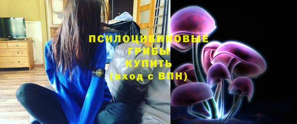 прущие крисы Алексеевка