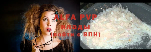apvp Алзамай