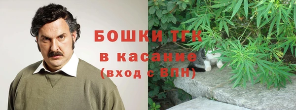 apvp Алзамай