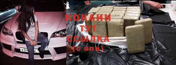 ГАЛЛЮЦИНОГЕННЫЕ ГРИБЫ Абаза