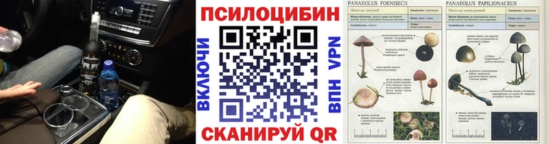 Псилоцибиновые грибы ЛСД  Новоалександровск 