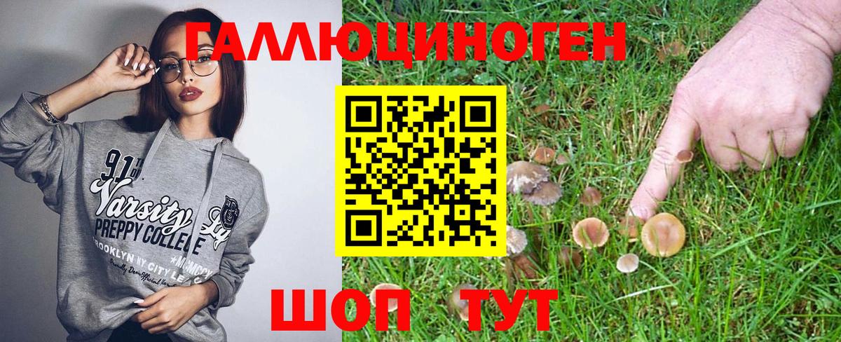 Псилоцибиновые грибы Psilocybine cubensis  Галлюциногенные грибы Psilocybine cubensis  Вход с VPN  Новоалександровск 